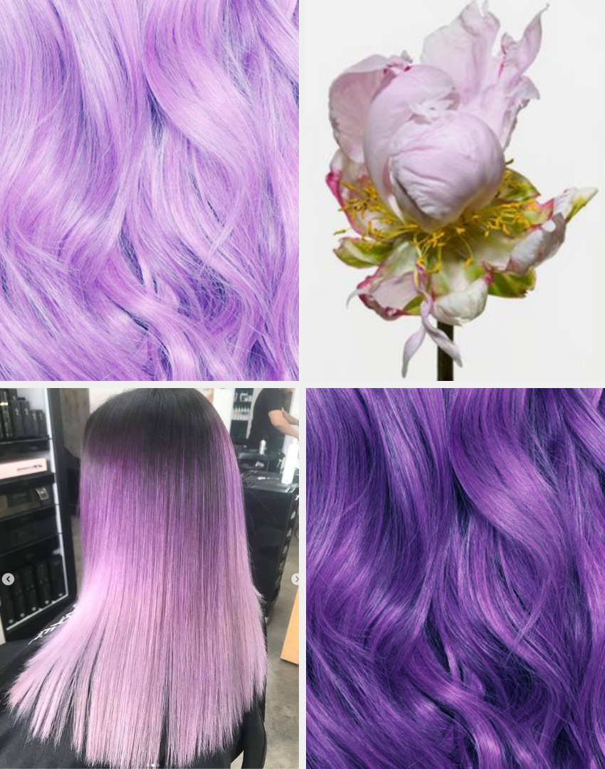 Colour Blast Phantom Purple 150ml